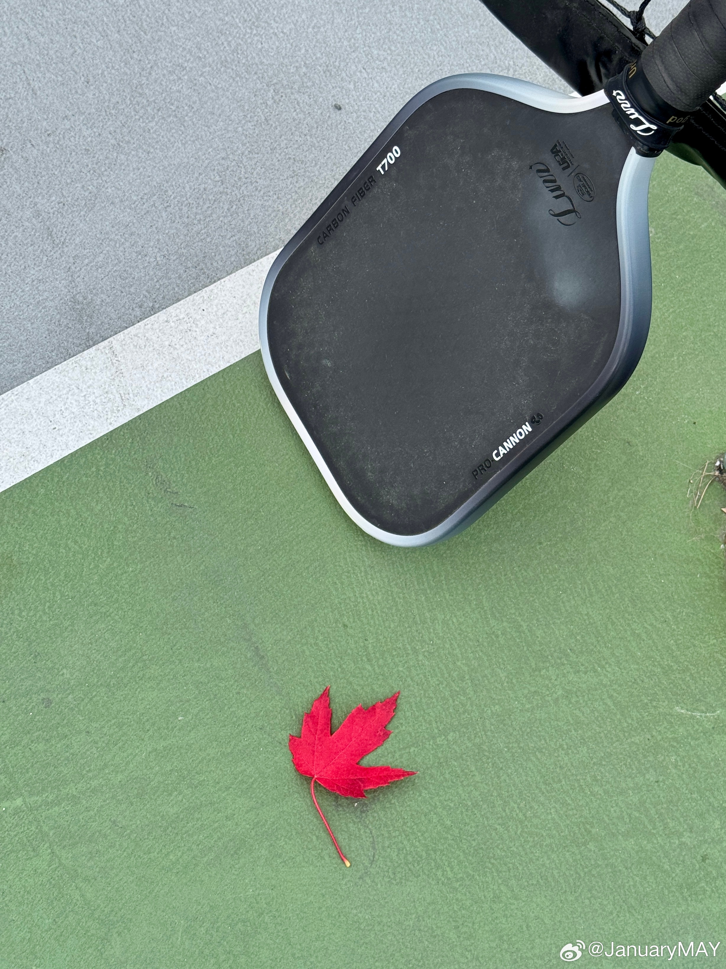 球场已染秋色。海外生活匹克球 ​​​