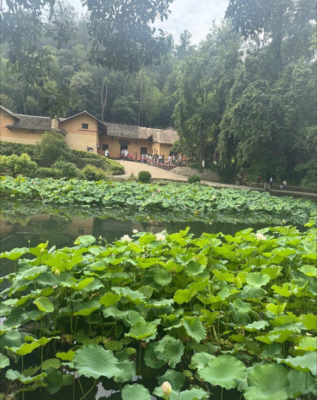 这个乡村老房子里走出了有史以来最伟大的中国人 