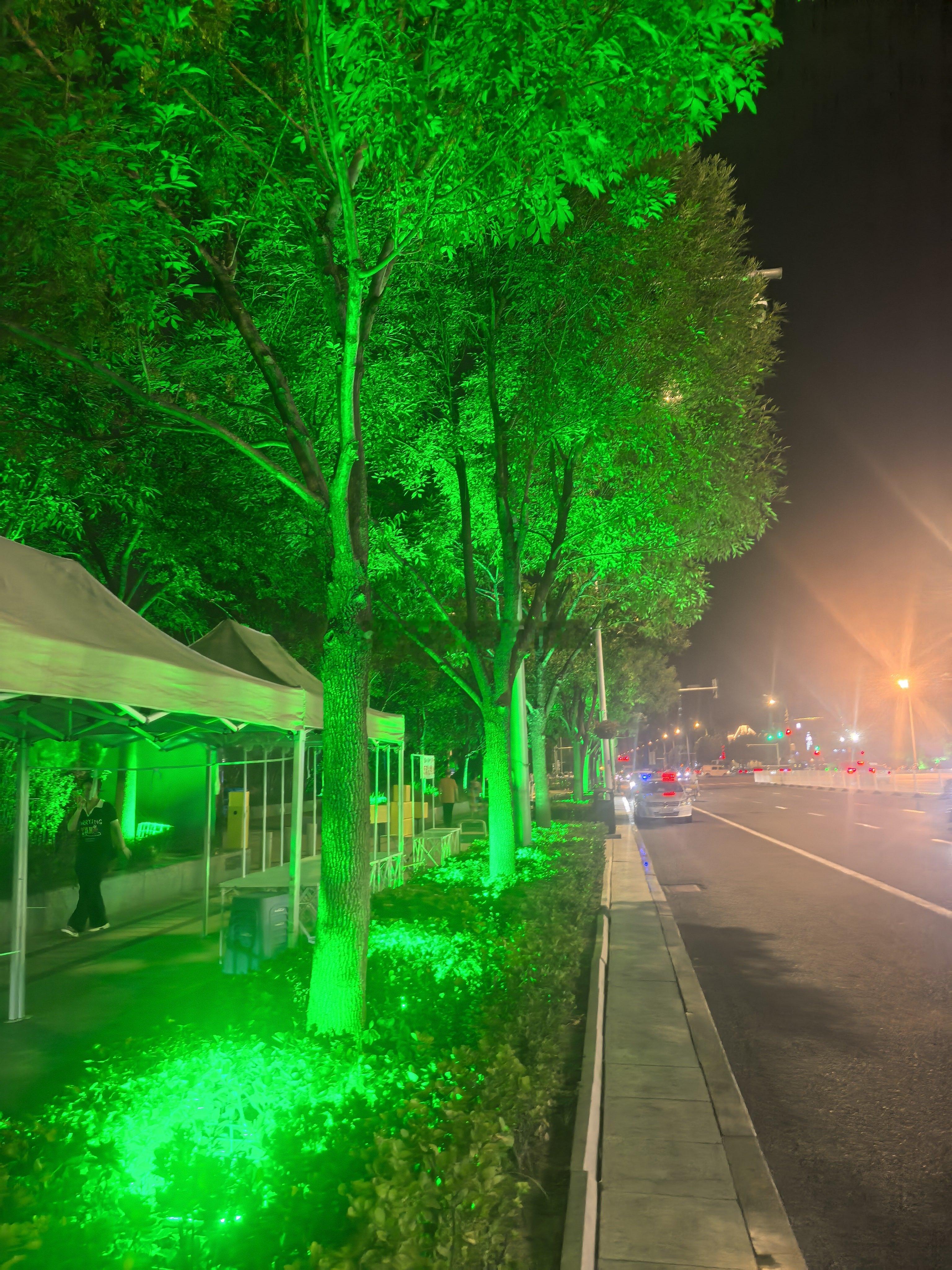 夜天津 