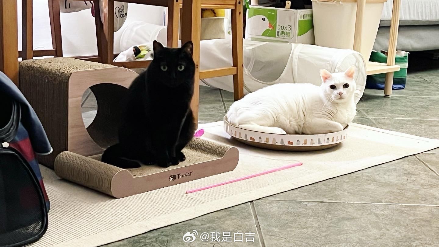 不過相差7、8歲⋯⋯😅 ​​​