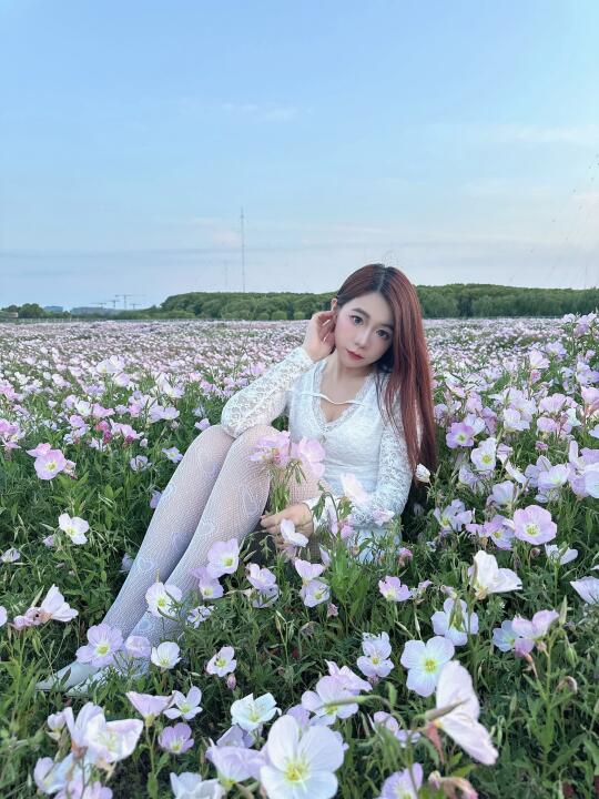 月见草就是我的梦中情花🌸