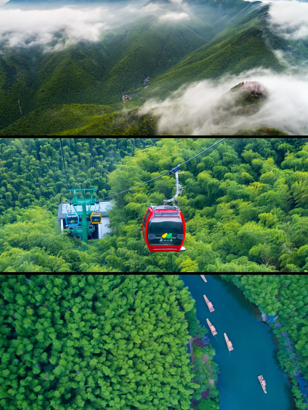 传下去‼️南山竹海免门票啦‼️