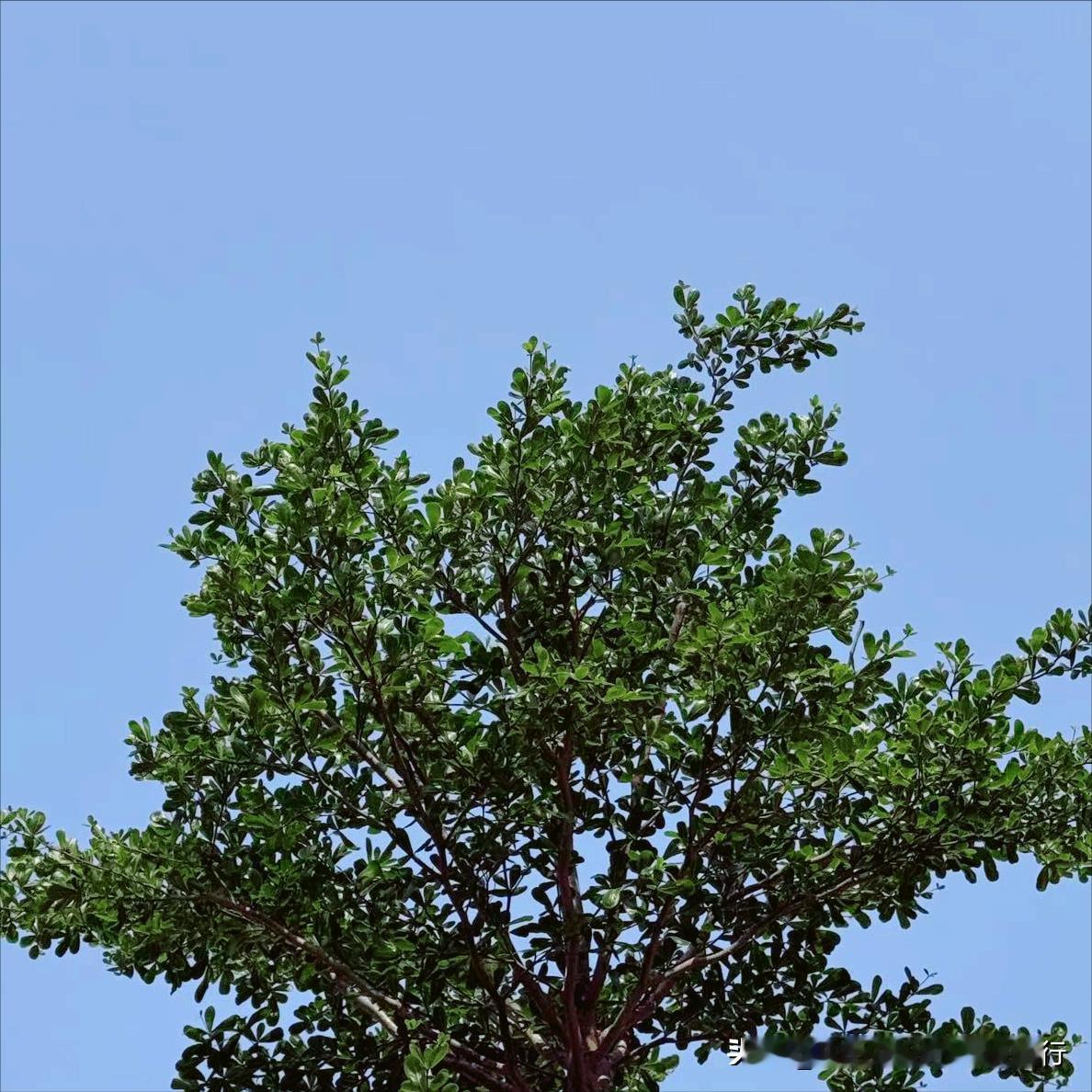 山东：执纪审查1人
 
4月9日，该省执纪审查1人，为日照市政法部门原官员耿学伟