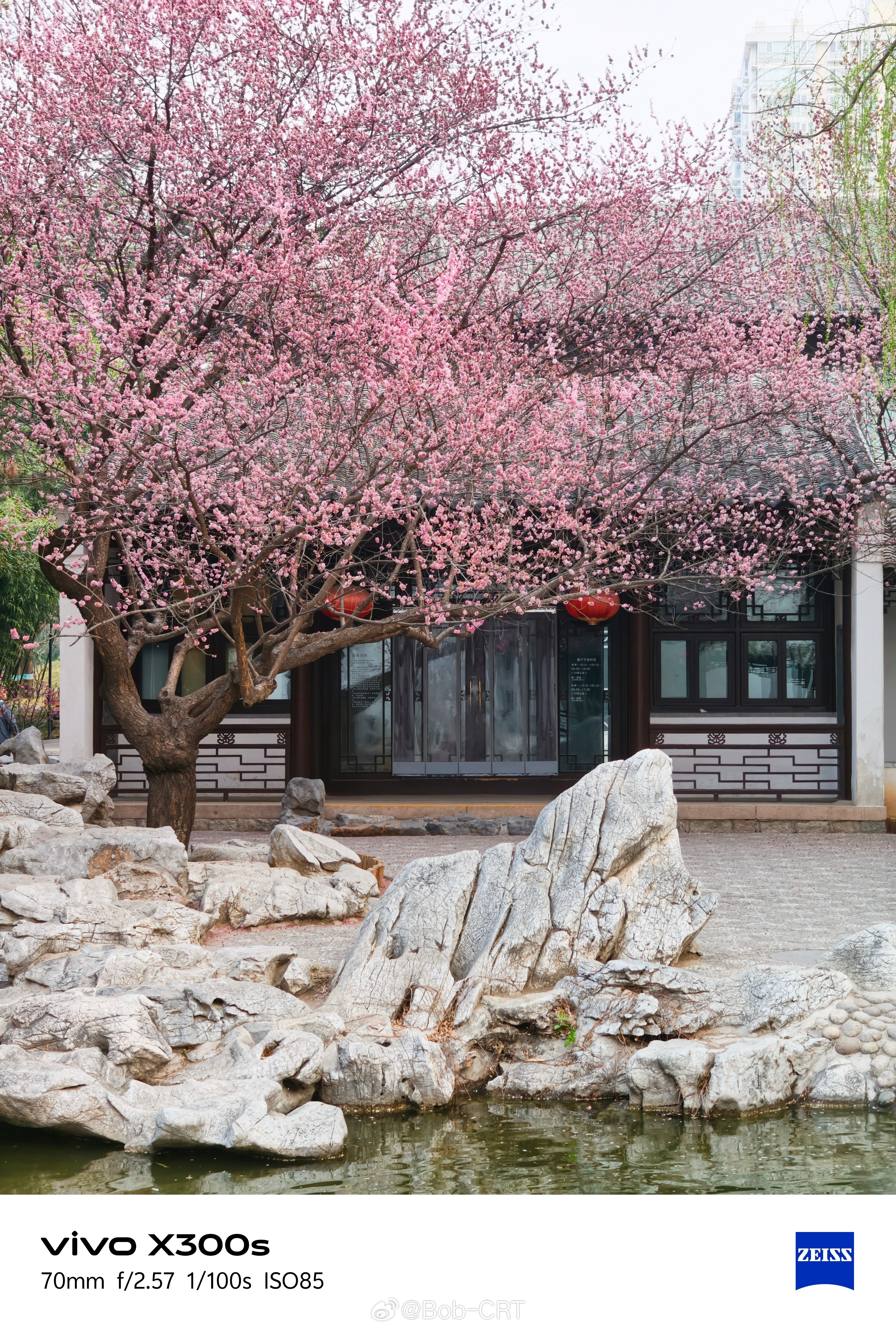 《京城春意｜紫竹院公园的春天》春天的紫竹院公园很美，除了闻名京城的竹子之外，亭台