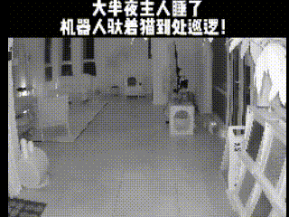 网友家的小猫咪，大半夜不睡觉，居然精准跳上家里的洗地机器人，稳稳趴在上面，任由机