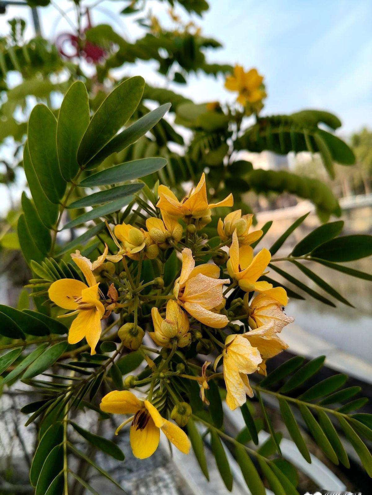 今晨刷到一条热帖,作者直球抛出“教育子女才是人生第一KPI”,点赞数半天就破三万