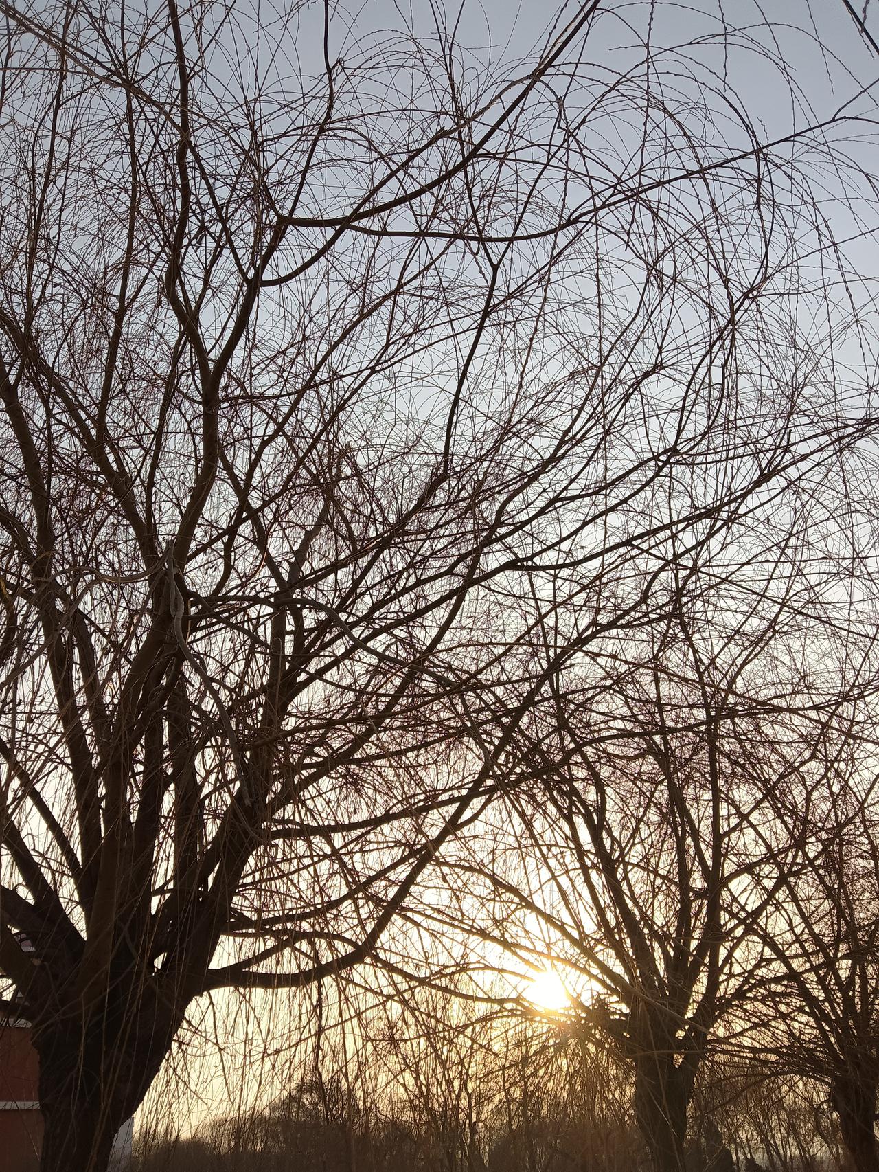 世界上对你最好的人，那必然是父母。他们的爱纯粹又无私，从我们出生起就如影随形。小