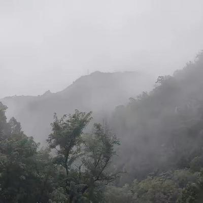 🌙泪目！6 名退休老师去贵州旅游，突遇大雨，在一农户家躲雨，主人家做了 9 菜