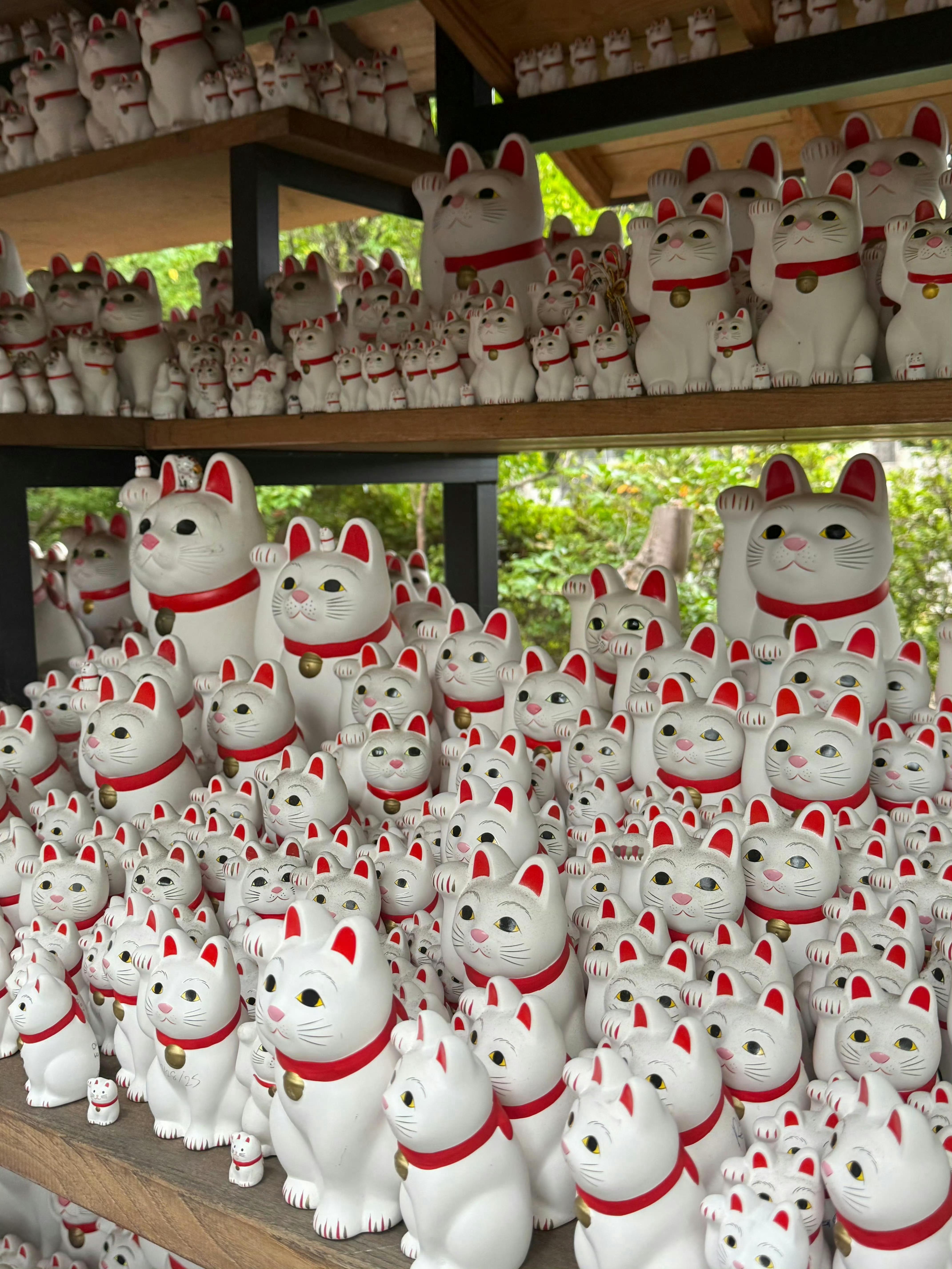 看到这些招财猫，说明你的财运要来了[抱一抱] ​ ​​​