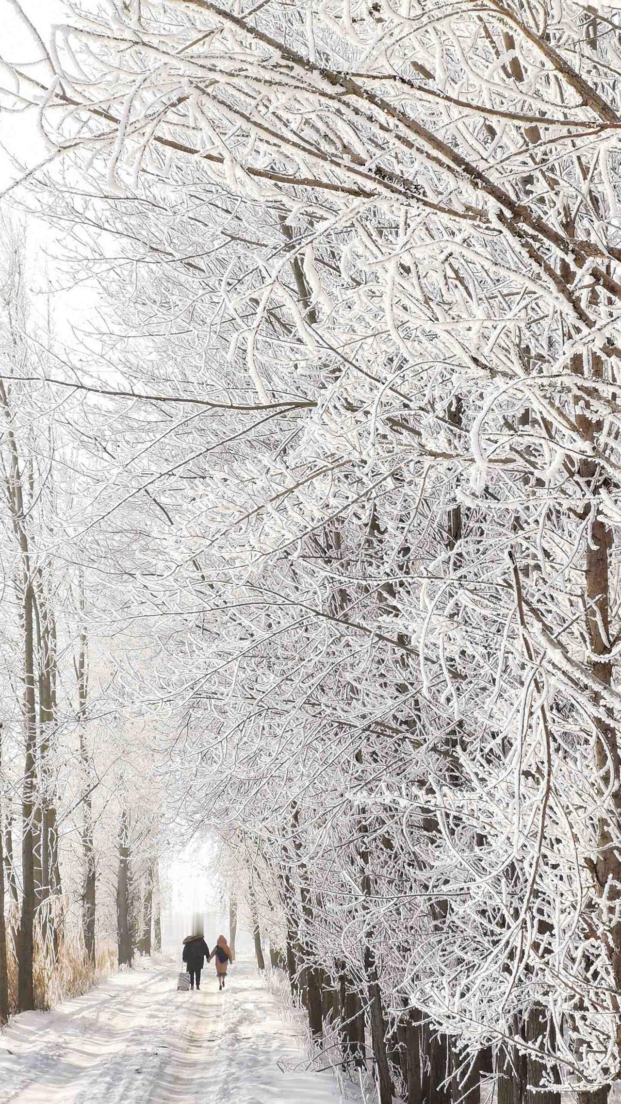 1861年11月2日夜，肃顺在密云行馆被秘密逮捕。被捕时，肃顺被捆绑住双手双脚如