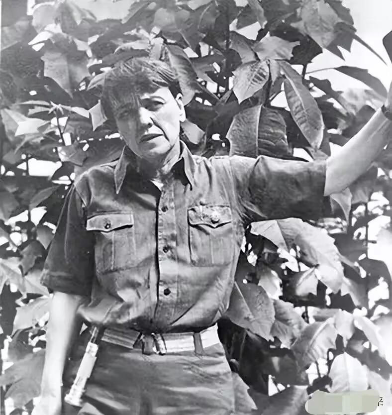 1950年，美国记者史沫特莱在伦敦逗留期间，不幸因病离世后，她的遗嘱骤然震动了中