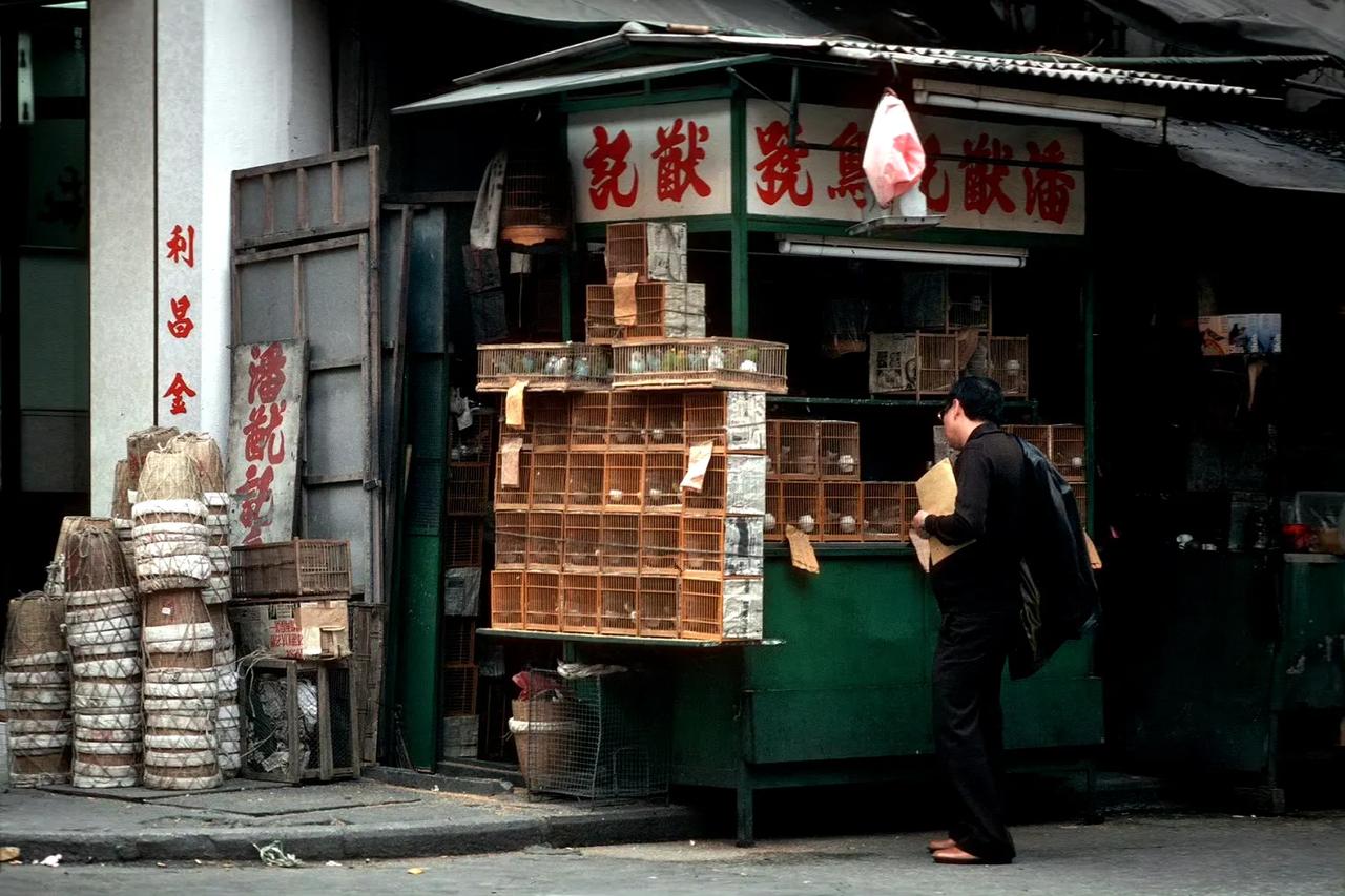 卖鸟的铺子，香港湾仔，1979年摄。 ​​​