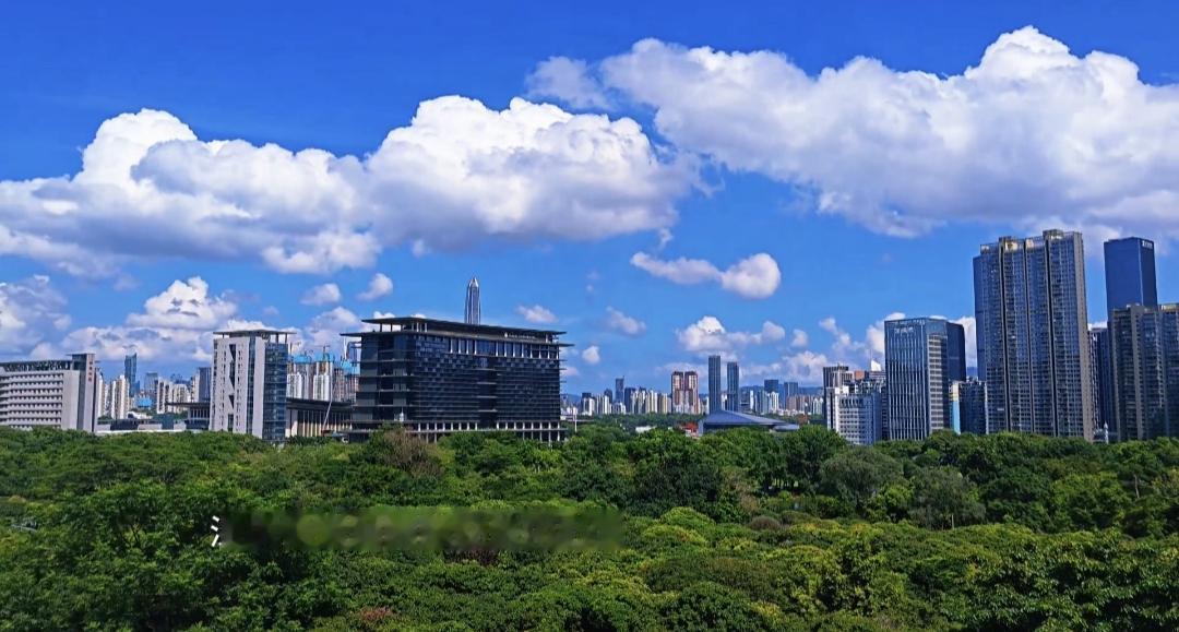 高温预警下深圳的城市风光，从白天美到傍晚，就是真的太热了。朵朵白云天上飘，有一点