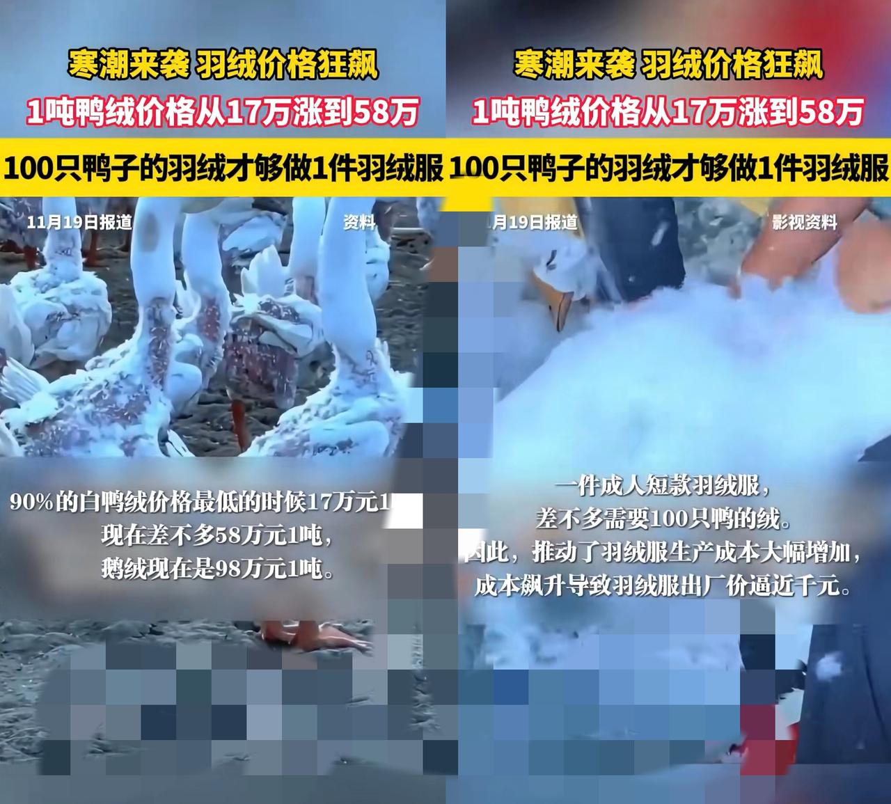 真心劝大家：穿羽绒服的赶紧脱！没买的千万别入手了！
 
        不是58