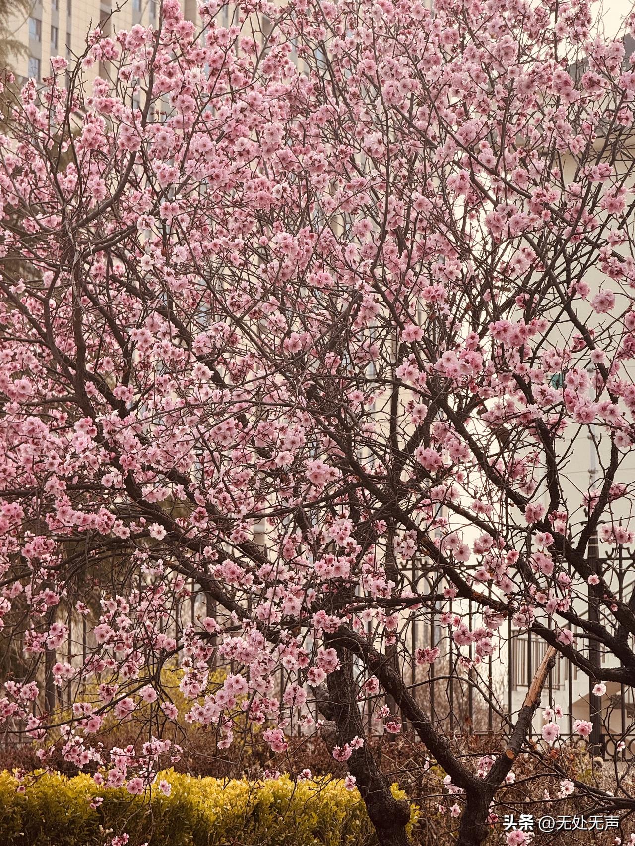 刚刚刷到一个视频，一位妇女满脸泪水，哽咽着说：
“人间太苦了，下辈子再不来了！”