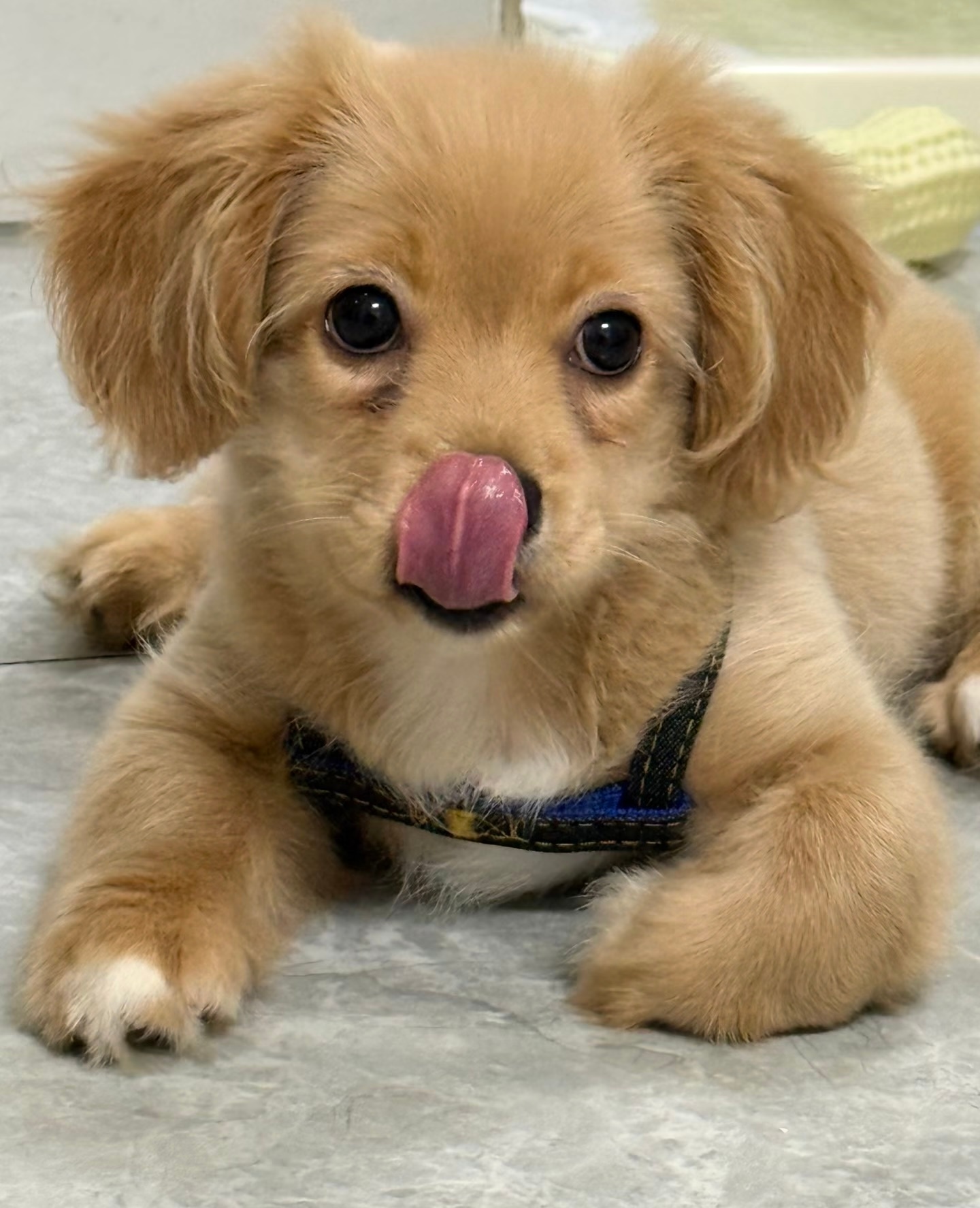 早饭吃什么呀 