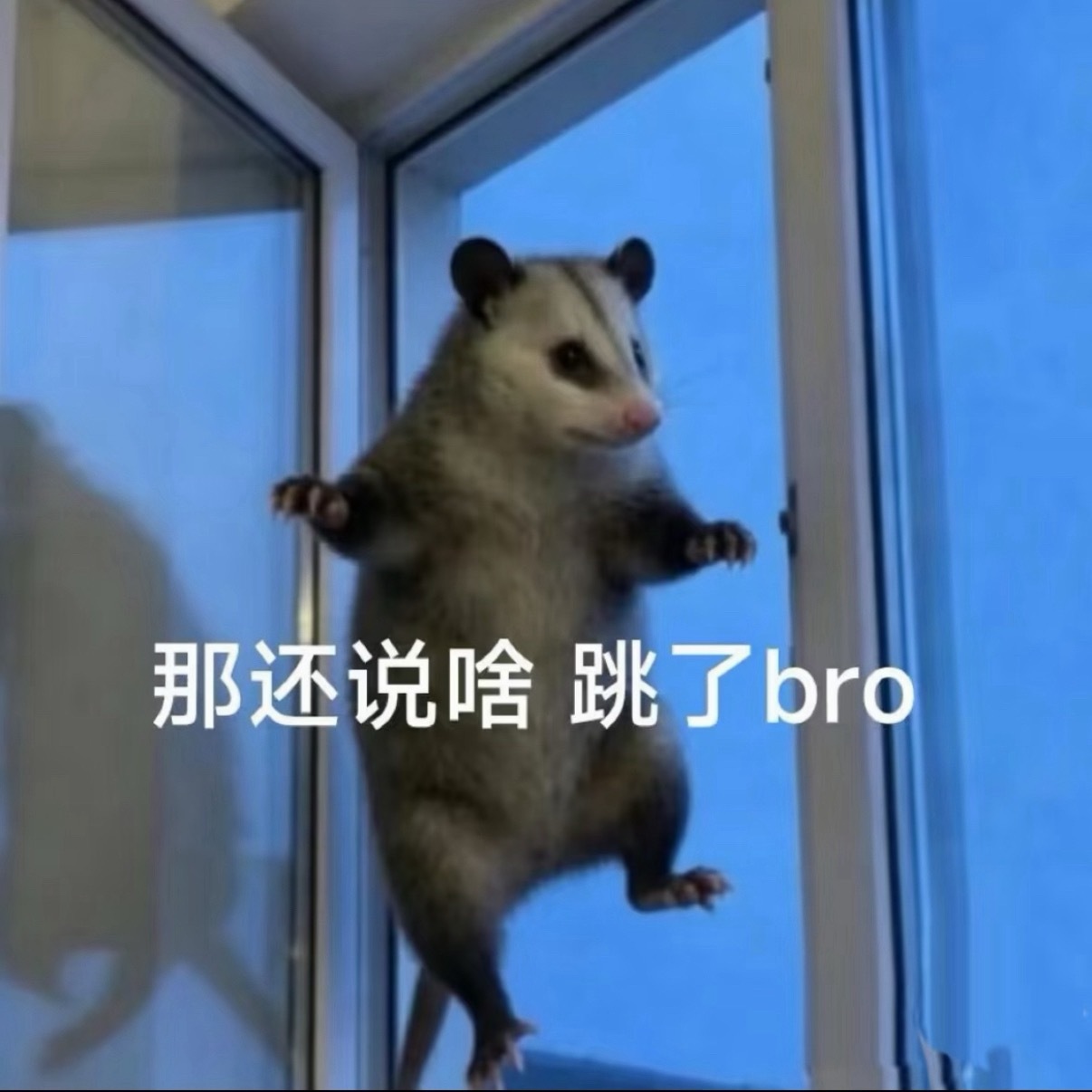 黄金不喜欢这种阴跌，直接暴跌800好了，阴的时候一直补点补点折磨人，不如到位横着