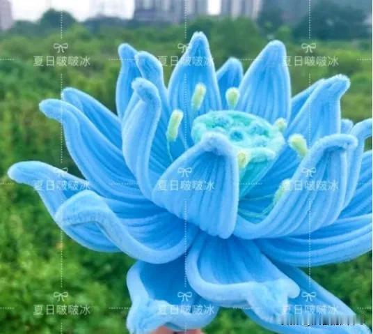 奶奶有三个孩子？可为何一个都不见踪影呢？难道是先于奶奶离世了？真是让人揪心[比心