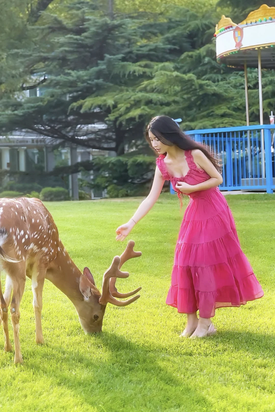 不出国看天鹅小鹿🦌京城童话世界美爆啦