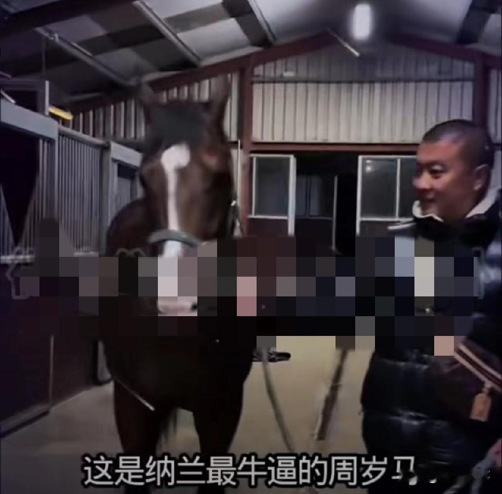 马洪涛飞国外再花费260万买纯血马！

          今年7月份，马洪涛花