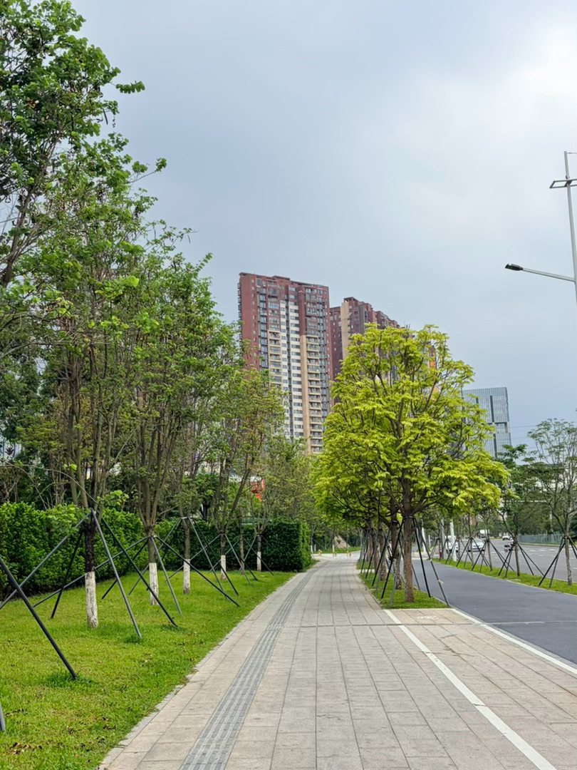 去的时候就担心下雨🌧️，没想到回来的时候确实下了小雨还好不大。也算是安全到家了