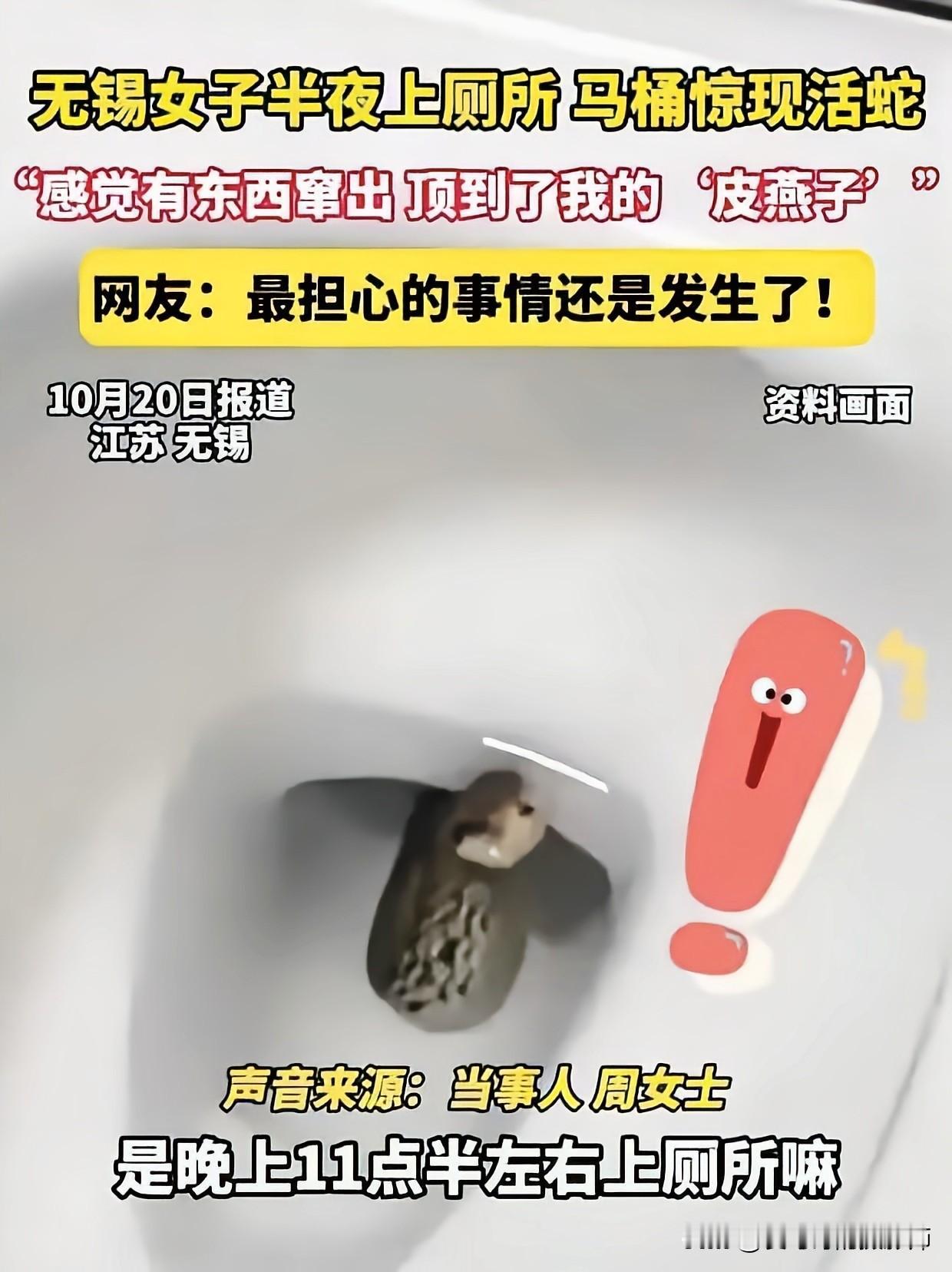 这是深夜恐怖的一幕
江苏一女子深夜上厕所
突然感觉马桶里有东西伸出来
仔细一看