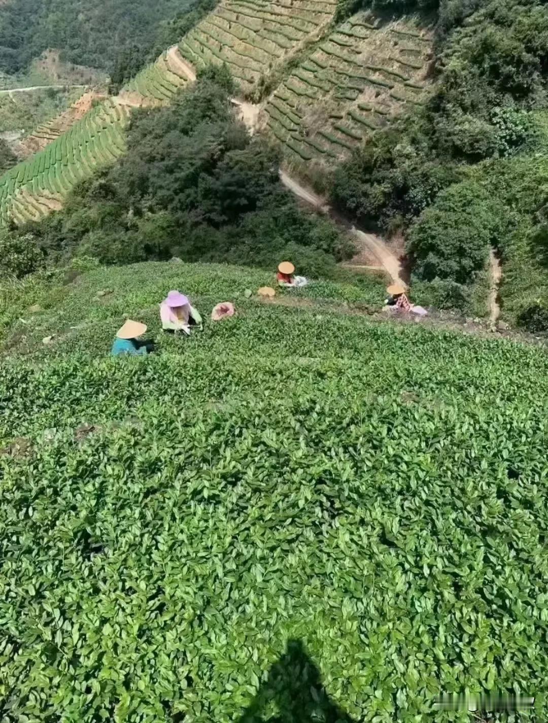 学会制造快乐。人活着，不可能一直幸福快乐，总会有悲伤和烦恼。要学会与自己和解，努