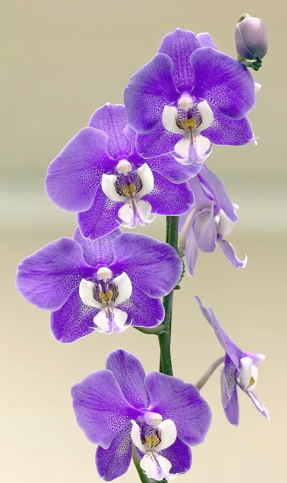 下联：生活琐碎点点滴滴。

（题图来自网络）