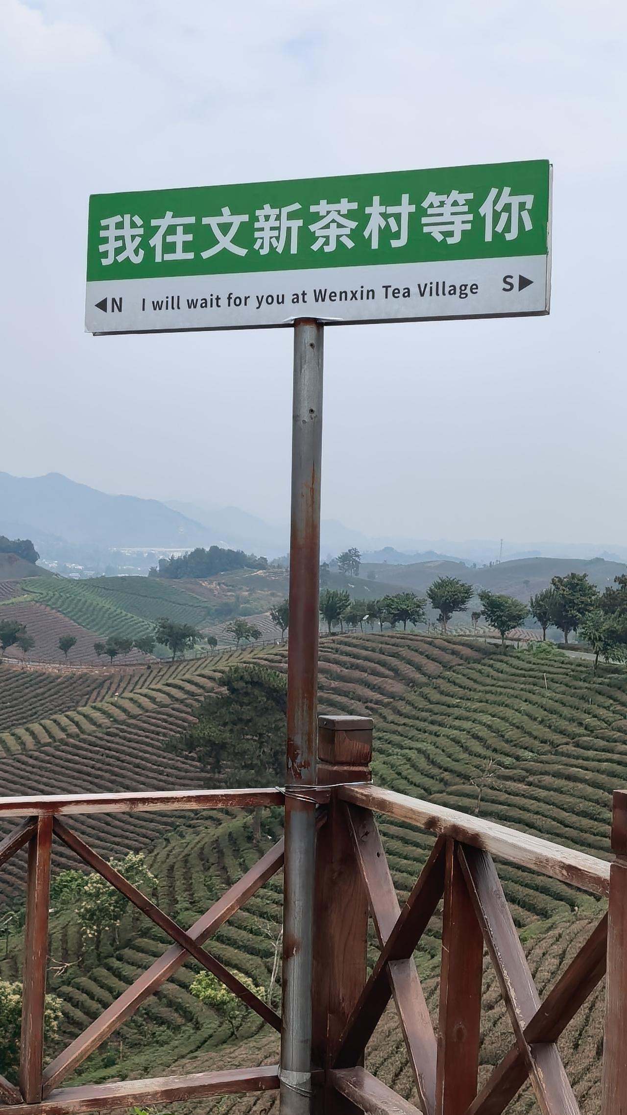 风拂茶垄间，清韵染云烟
风拂茶垄，清韵染透云烟，信阳文新茶村，正铺展一幅茶韵与山