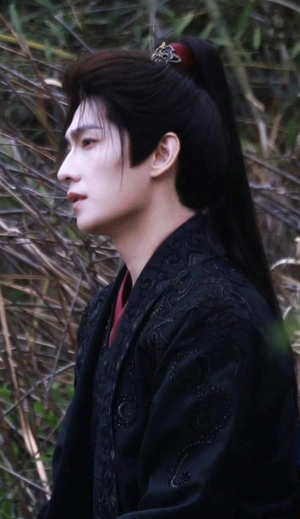 杨洋不愧是颜霸，这古装侧脸也太绝了 