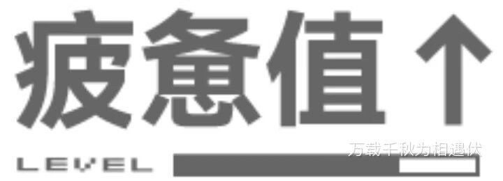 9094号主现状↓ 