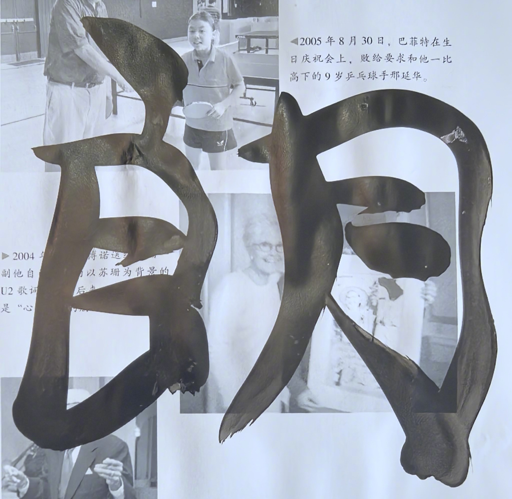 高武朗澄司马平邦刮金书