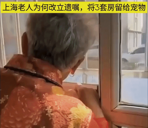 上海一老人生病没人管改立遗嘱，将原本留给三名子女价值2000万的三套房，改立遗嘱
