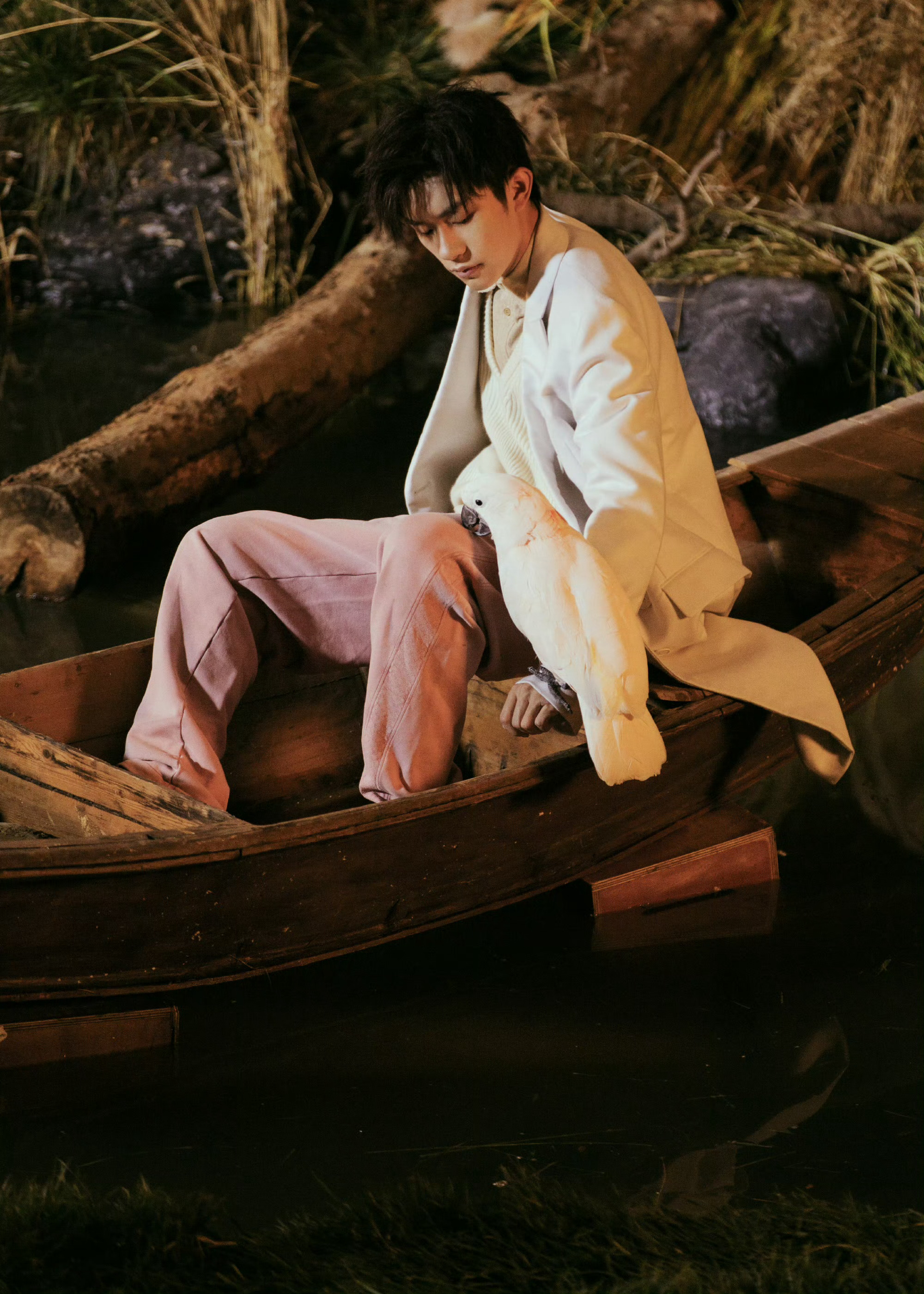 纸鸟找到了自己的位置四字 易烊千玺 yyqx 四字弟弟易烊千玺电影蛮荒禁地