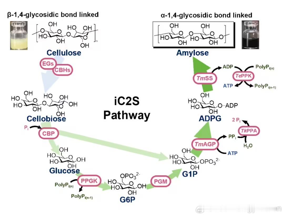 中国科学院天津工业生物技术研究所 11 月 20 日消息，该所体外合成生物学中心