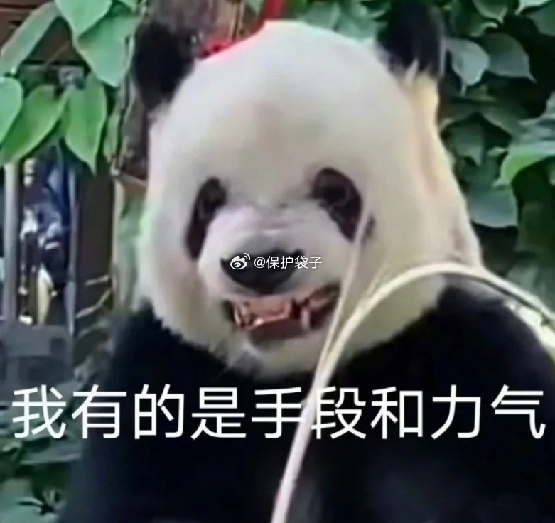 美国或地面入侵伊朗加油，赶紧，别只是说说而已。俄跟乌好歹还连在一起，这美国跟伊朗