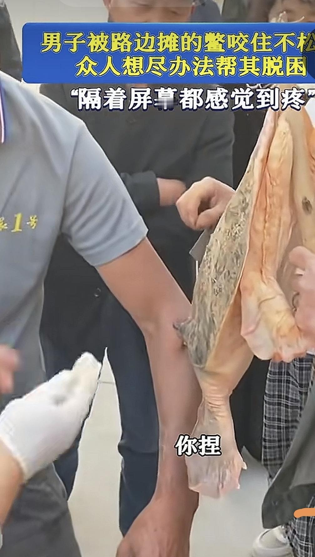 街边鳖咬人事件引发热议：路人纷纷献策，展现人性光辉

  一段街头发生的奇特事件