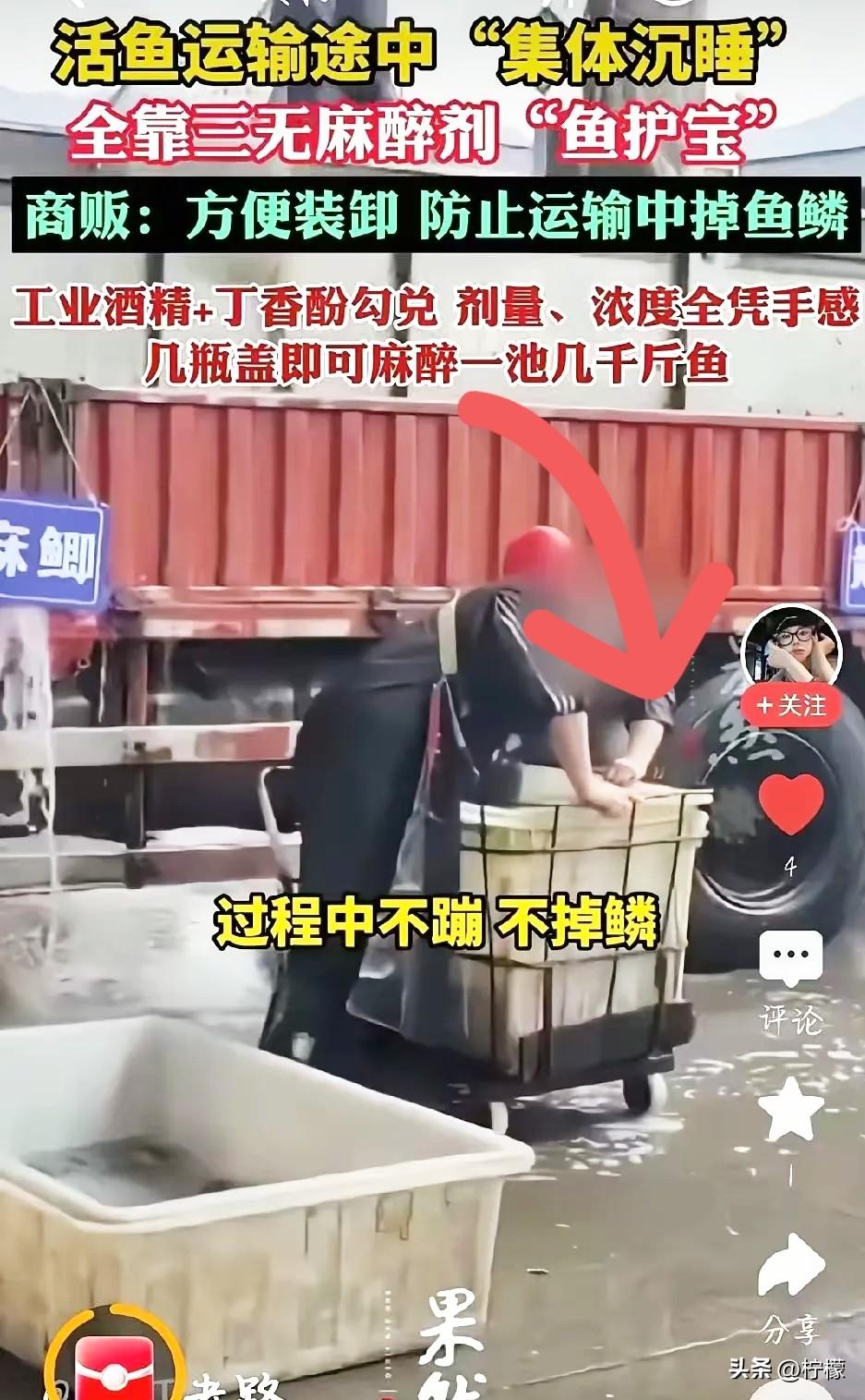 吃鱼的，估计想掀桌的心都有了！
重庆icon、山东icon、安徽icon的水产市