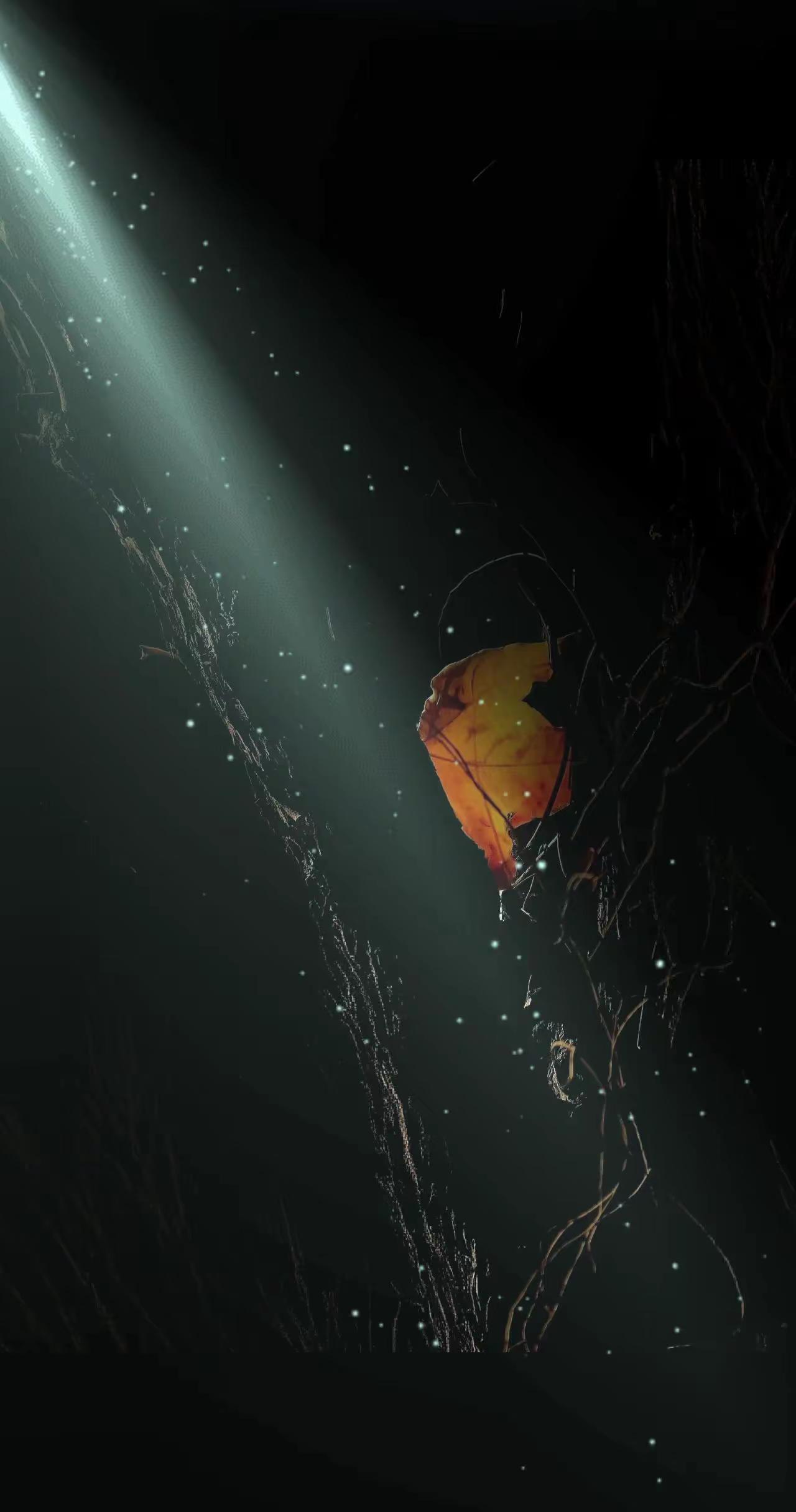 苍天的一束光。