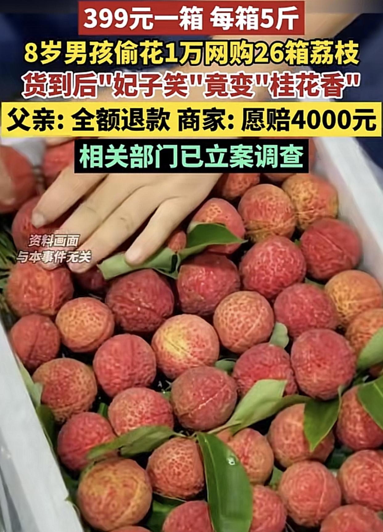 山东聊城一名八岁男孩花一万多网购26箱荔枝，父亲发觉不对劲，要求商家全额退款，商