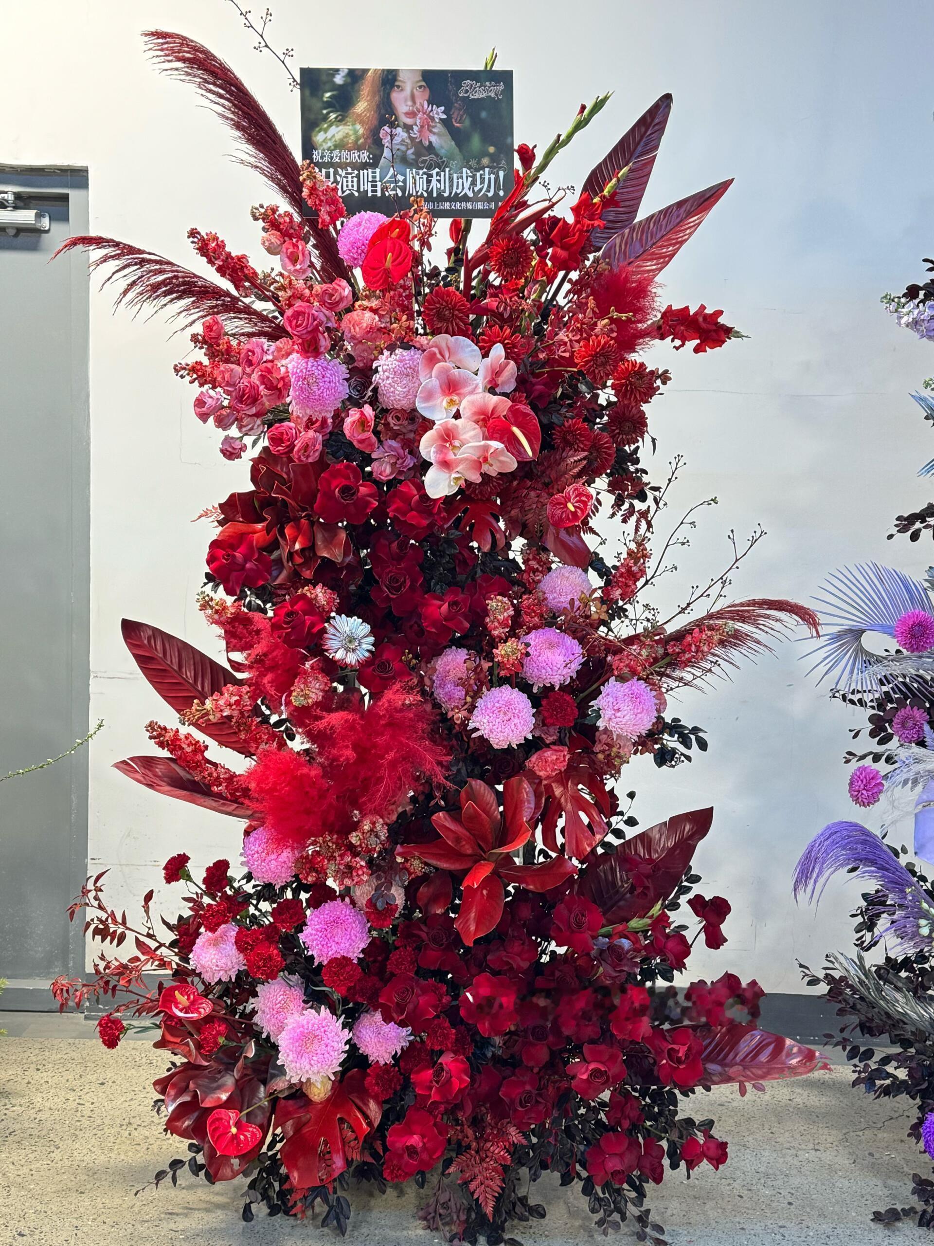 虞书欣大红大紫❤️ 