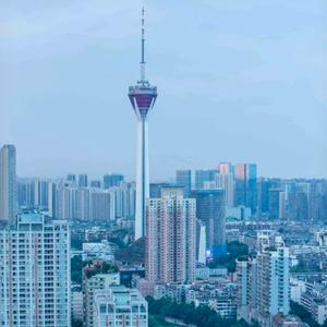 成都大爷有话说