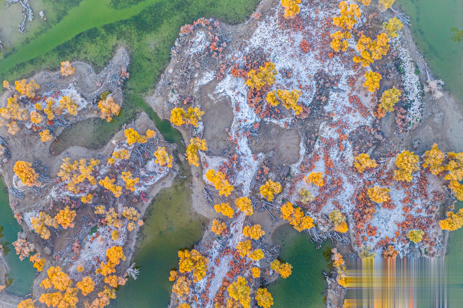 大地的图画 新疆｜沙雅#大美新疆#  