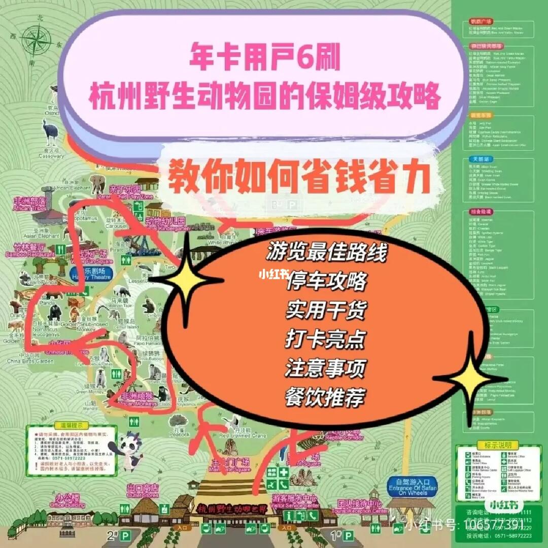 不会累的杭州野生动物世界游玩攻略🍎