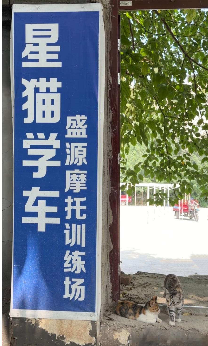 学车吗？人 