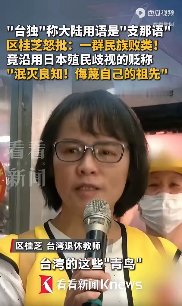 台湾竟有一群“青鸟”的绿营激进支持者，将台湾人日常使用的汉语称为“支那语”，侮辱