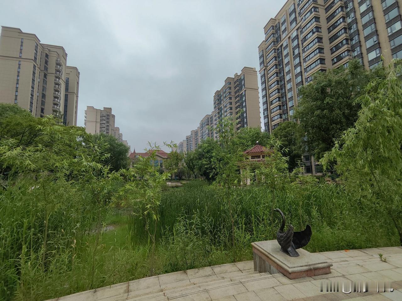 曾经的恒大珺睿府
杂草丛生
落寞孤寂
你还别说这种野趣挺不错
哈哈哈
就像人生
