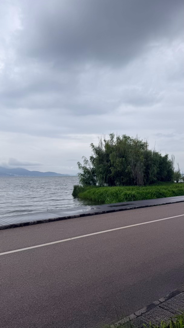 拜拜，洱海！拜拜，大理！ 大理·洱海