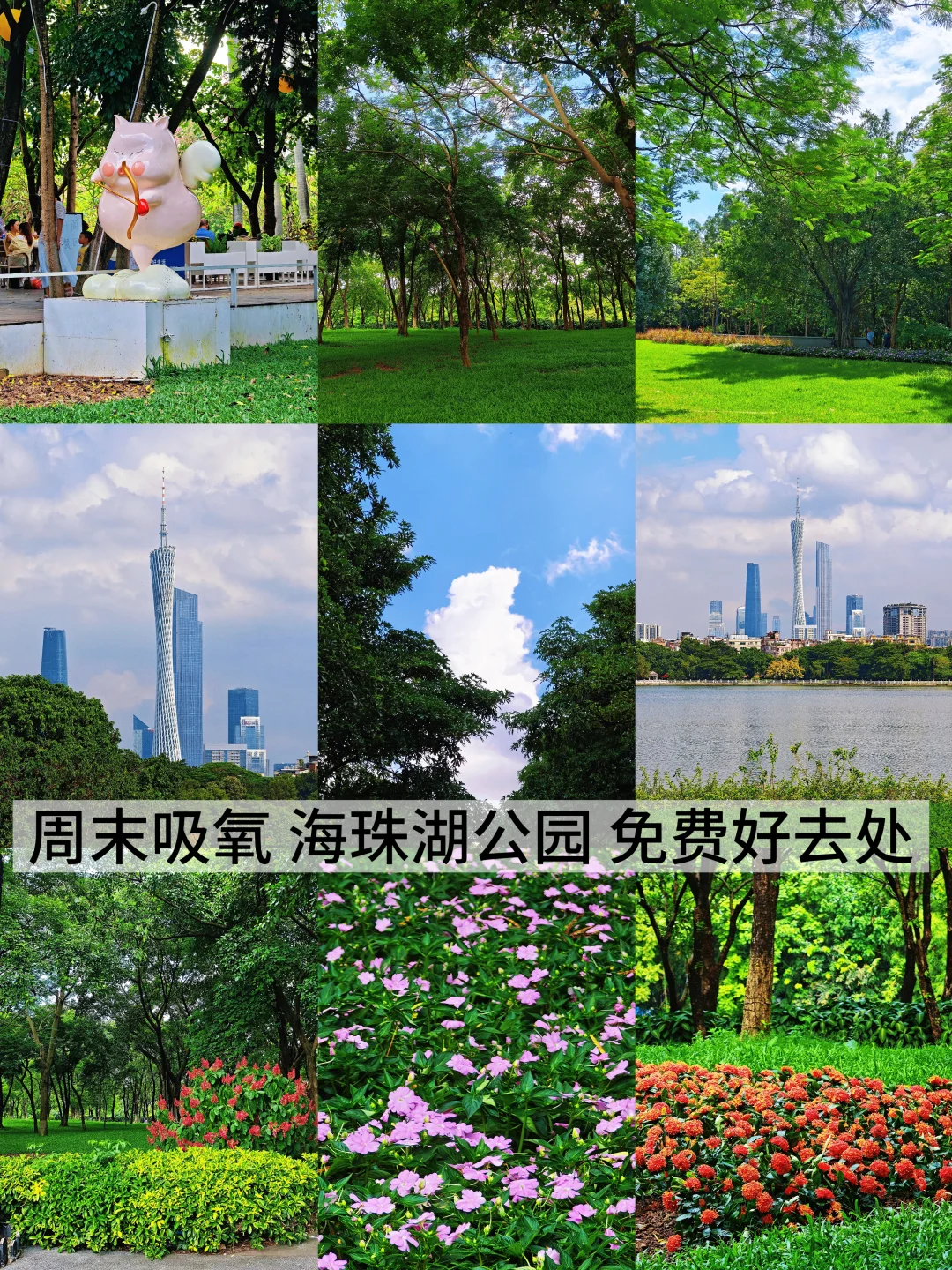 广州！海珠湖公园！免费周末吸氧好去处