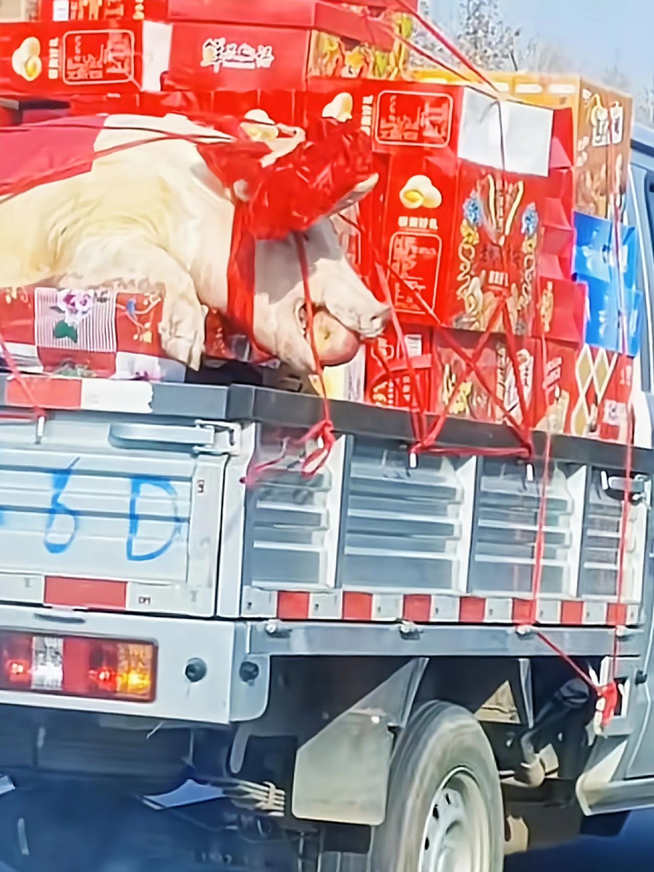 邻居小王去提亲，刚咬牙应下28.8万彩礼！谁料丈母娘又反手掏出一份当地“婚俗清单